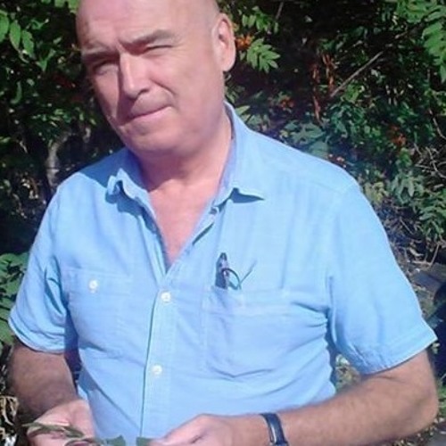 Stream Paul Rafferty music | Listen to songs, albums, playlists for ...