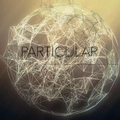 Particular