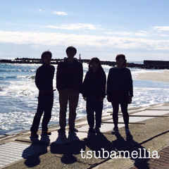 tsubamellia