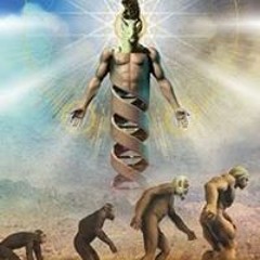 AsdrubalMedouze Hard Lion