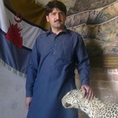 Muhammad Kamran