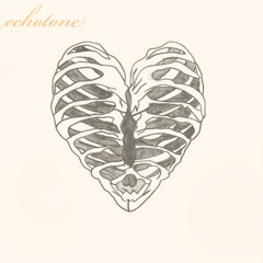 EchoTone