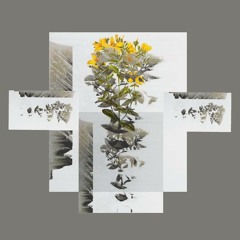 Конкретни Севдах Б