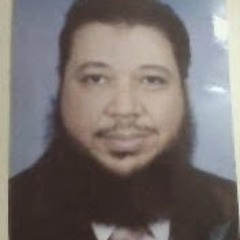 alaa elnahass