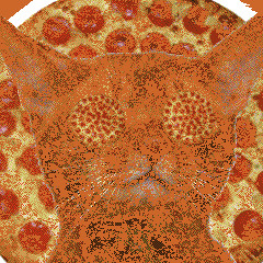 SNARE BLANKETS / STEVE E