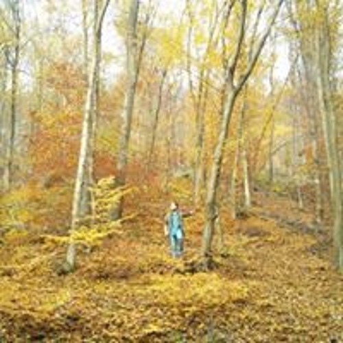 Stream Valdimir Barbe music | Listen to songs, albums, playlists for free on SoundCloud Valdimir Barbe
