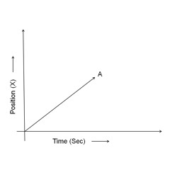 The Bells And Whistles