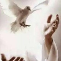 Lester SabroSoncompani