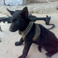 украина2