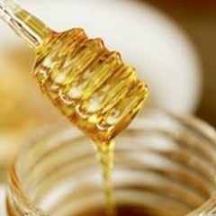 Bitter Bitter Honey
