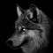 Lone Wolf Inc.