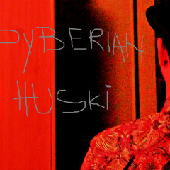 SyberianHuski