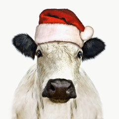 TheChrismasCow