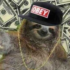 SlothSwag