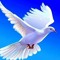 Htun Myat