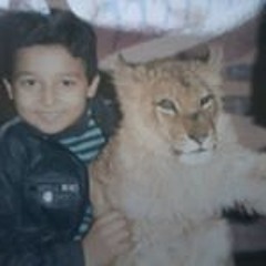 mohamed atef 273