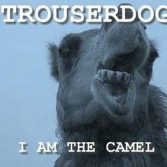 Trouserdog