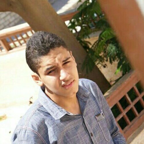 البطة محمد عبد السلام