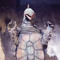King Tortoise