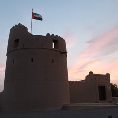 Fahad AlSuwaidi