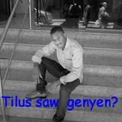 Tilus Estervenson Real