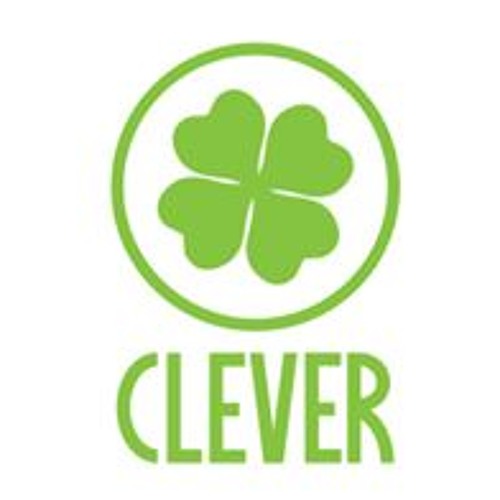 Www Clever Ru Интернет Магазин