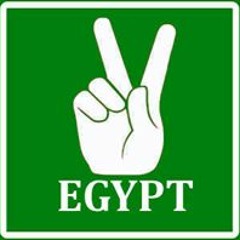 Ahmed Mohamed Aboelfotoh