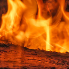 David_Beaman_Try_Hard