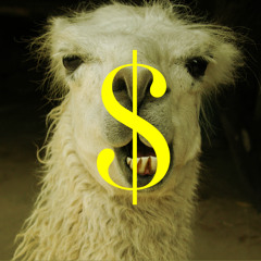 Dollar Lama