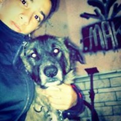user627087511