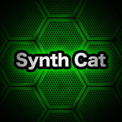 Synth Cat