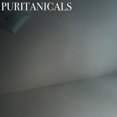 Puritanicals