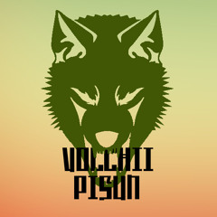 VolchiiPisun