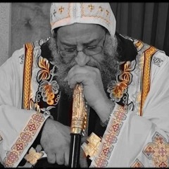 Bishoy Kamel