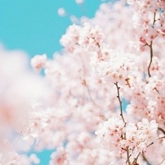 이승기 원하고 원망하죠