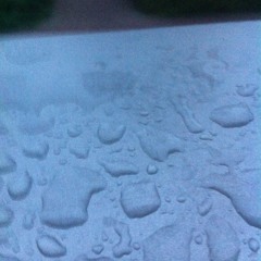 Roger Zoepke-Sonntag