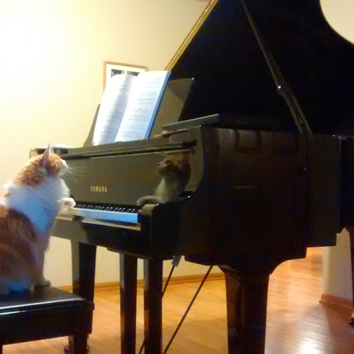 Prelude in G Minor, Op. 23, No. 5 (Sergei Rachmaninoff)