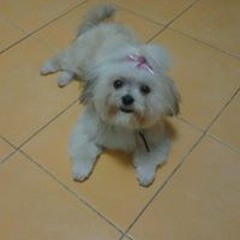 Mariano Alvarez Romero