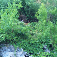 KingJamesSpaceKastle