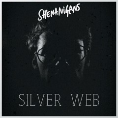 ShenanigansTheBand