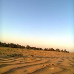 Ebtesam Hamid