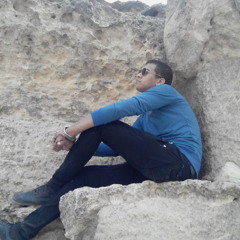 Ahmed Hassan Ali