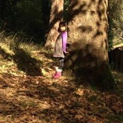 Ana Bratko Braimllari