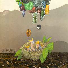 STRUPE