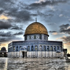dimaelhaj