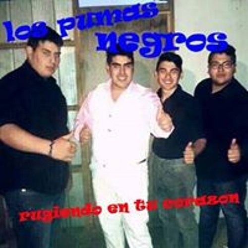 Los Pumas Negros’s avatar