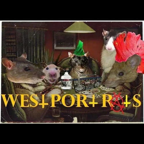 Westport Rats’s avatar