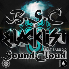 Celebration (B.S.C Re - Rub 2K14)