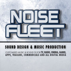 NoiseFleet