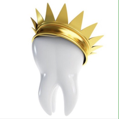 king of teeth - Producer/musician’s avatar